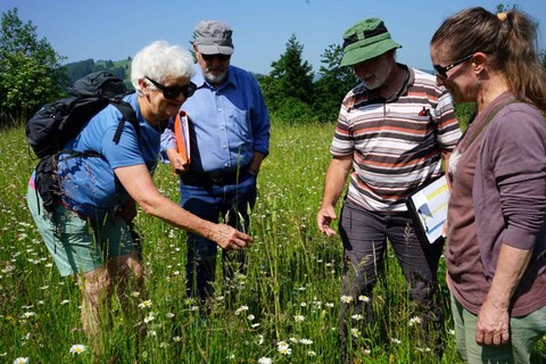 Appenzell I.Rh. feiert die Wiesenmeisterschaft 2025, die die Bedeutung artenreicher Wiesen trotz intensiver Landwirtschaft würdigt.