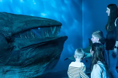 Der Seiwal sagt Lebewohl: Umzug ins neue Museumsgebäude 2026!