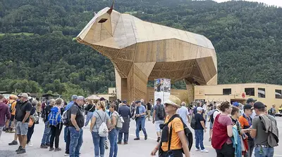 Muni Max: Glarner Kulturschatz bleibt nicht im Heimatland!