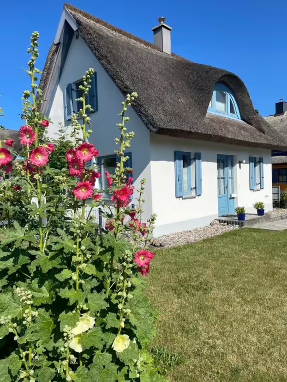 Reethäuser am Meer Grundstück eingezäunt Urlaub mit Hund Frühbucherrabatt 20 % 20 % Rabatt auf den Mietpreis ! Das Reethaus Störtebeker in Glowe auf der Insel Rügen bietet einen ruhigen Rückzugsort direkt am Meer. Nur ca. 100 Meter vom Ostseestrand entfernt befindet sich das gemütlich eingerichtete Ferienhaus, das ideal für Urlaub mit Hund ist. Das eingezäunte Grundstück und die hochwertige Ausstattung sorgen für einen entspannten Ferienaufenthalt. Ideale Lage am Ostseestrand Das Reethaus Störtebeker liegt in direkter Nähe zum Ostseestrand in Glowe auf der Insel Rügen. Mit nur etwa 100 Metern Entfernung zum Meer können die Urlauber jederzeit die frische Seeluft &hellip;