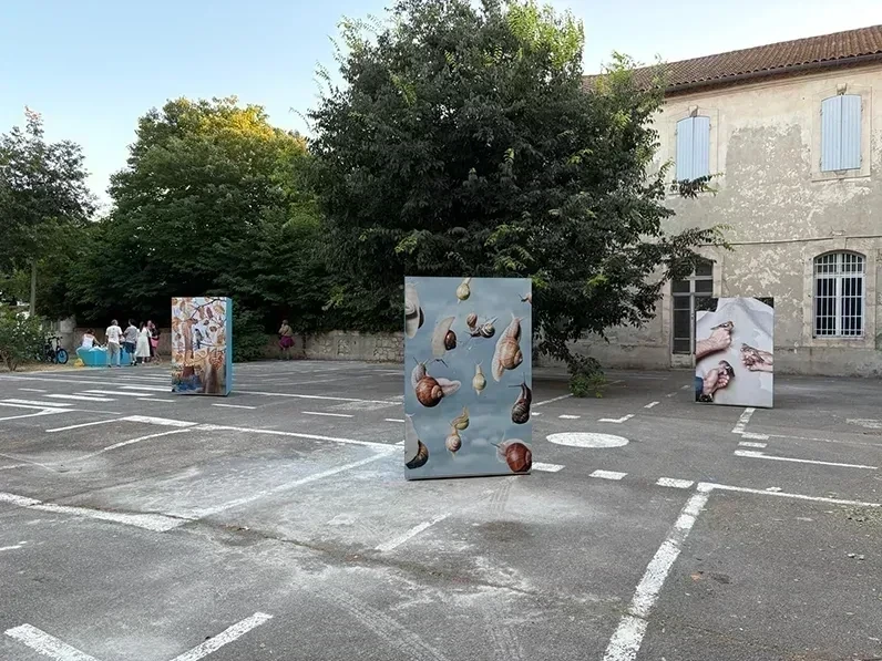 "Sauvages", exposition de Laurence Kubski à l'ancien collège Mistral, Rencontres d'Arles