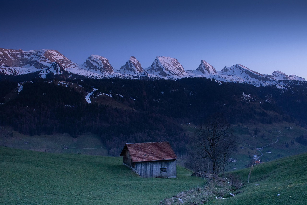 Fahrerflucht in Ramsen: Hund schwer verletzt – Polizei sucht Zeugen!