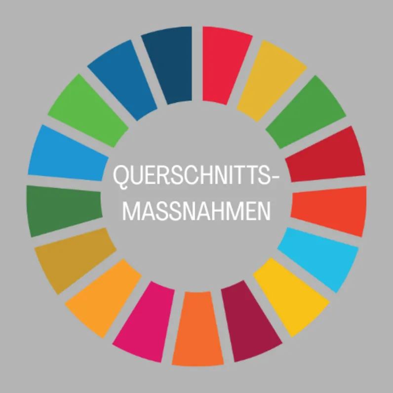 Freiburg stärkt Nachhaltigkeit: Sara Valsangiacomo im NKNF-Vorstand