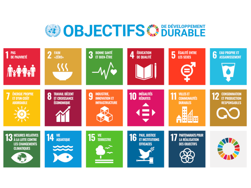 Freiburg startet nachhaltig durch: Neuer Aktionsplan bis 2031!
