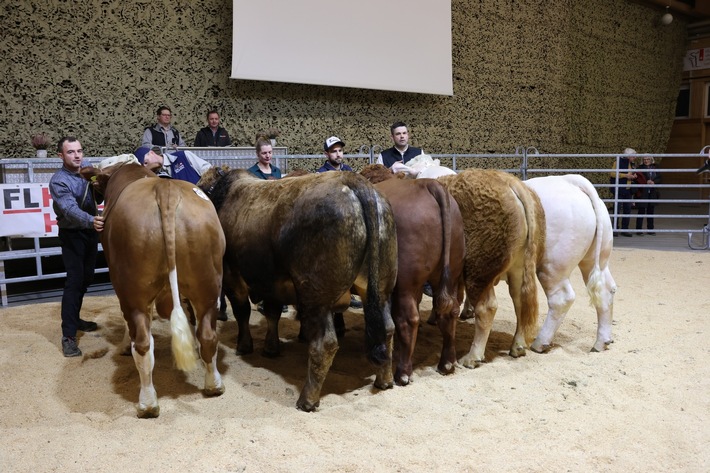 Frühlings-Sensation: 105. Stierenmarkt begeistert mit großer Auswahl!