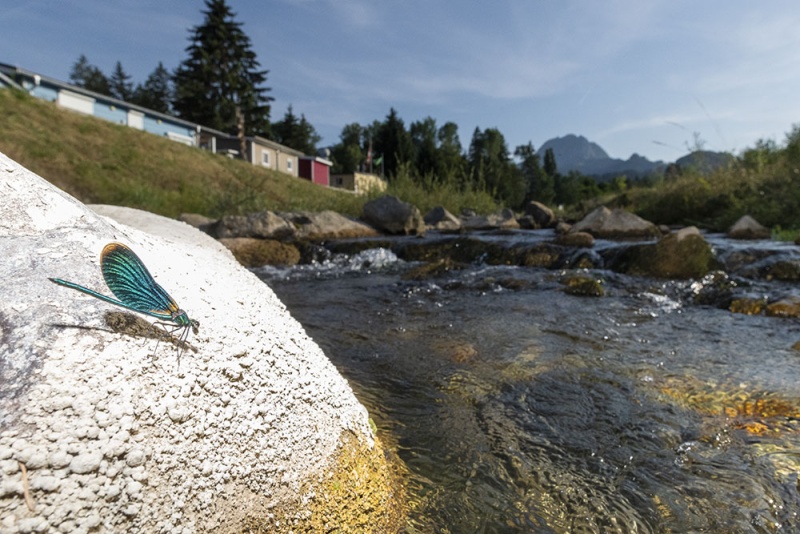 Mehr Schutz für Gewässer: Neue Gesetzesänderung entlastet Gemeinden!