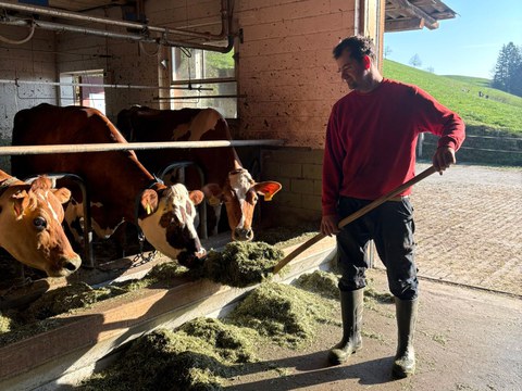 Optimierte Fütterung: Landwirtschaft in Appenzell setzt auf Umweltschutz!