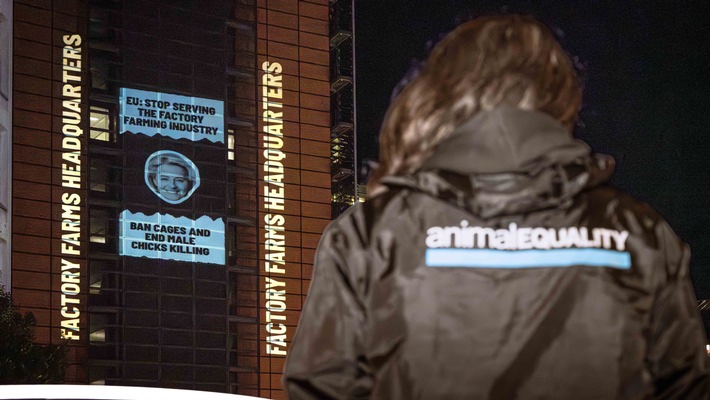 EU-Kommission im Zwielicht: Tierschutz oder Industrieinteressen?