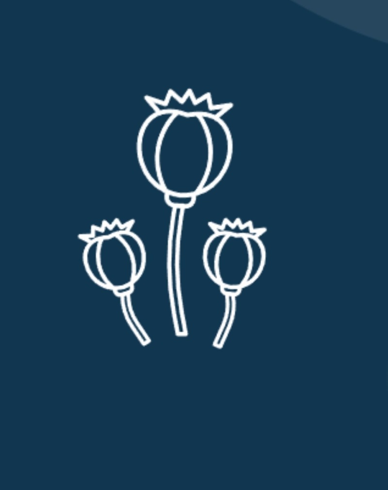 Freiburg kämpft gegen synthetische Opioide: Drei neue Maßnahmen gestartet!