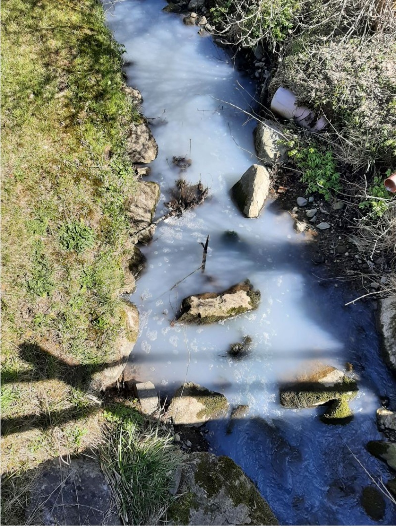Milchschaden in Villariaz: Ruisseau verunreinigt, Täter gefasst!