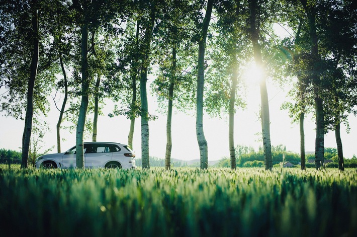Nachhaltigkeit im Gebrauchtwagenhandel: Der neue Schlüssel zum Erfolg!