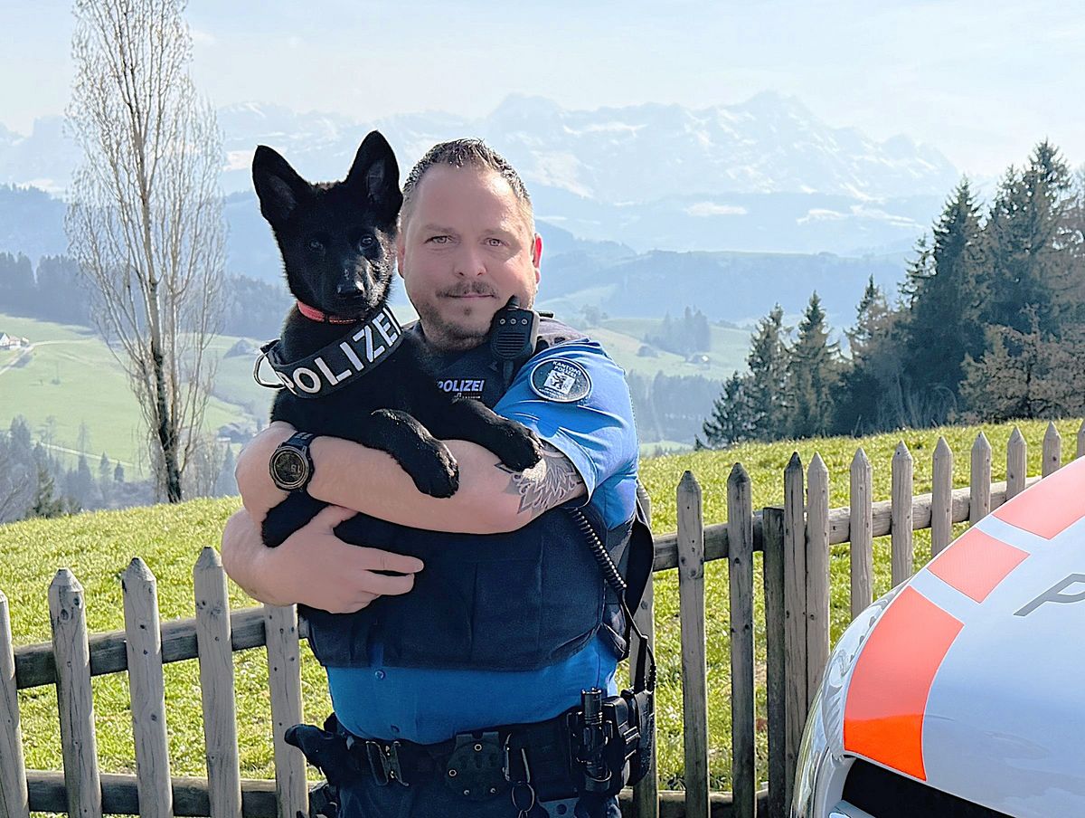 Neues Teammitglied: Polizeihund Vocs startet Ausbildung bei Kapo AR!