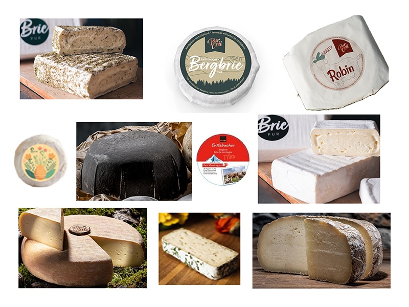 Salmonellen-Alarm: Gefahr in beliebten Weichkäsen aus Coop und Migros!